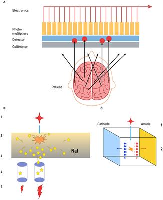 The Legacy of the TTASAAN Report – Premature Conclusions and Forgotten Promises About SPECT Neuroimaging: A Review of Policy and Practice Part II